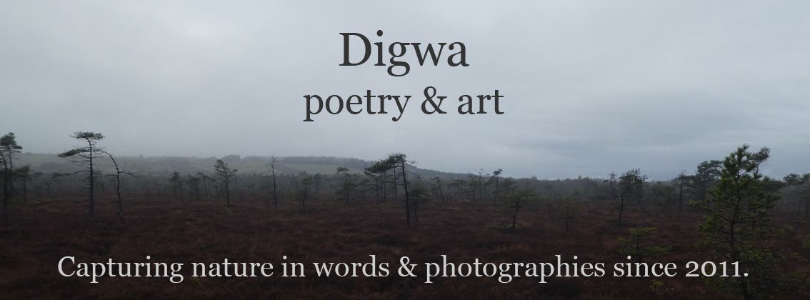 Digwa – poetry & art
